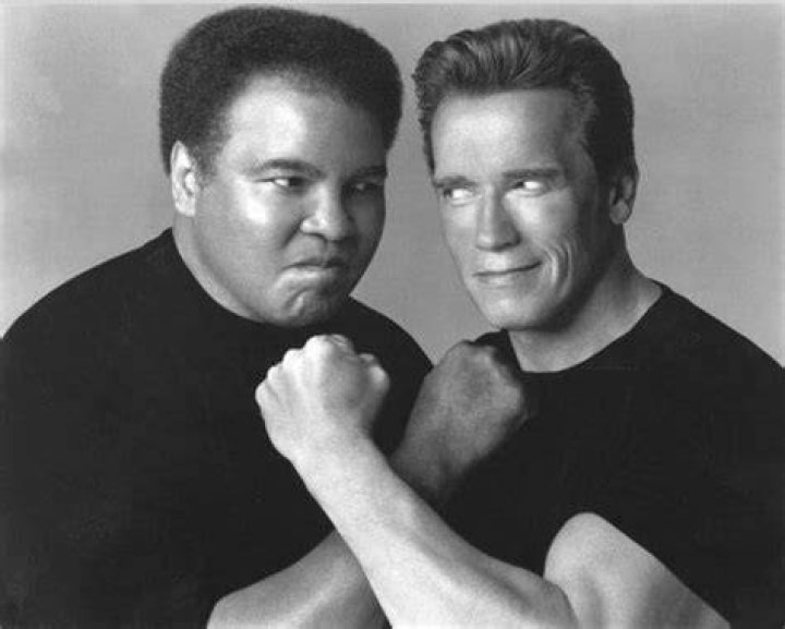 “Shoved Him About Ten Feet”: Arnold Schwarzenegger Once Smacked Boxing Legend
Muhammad Ali Into the Wall on His Own Demand