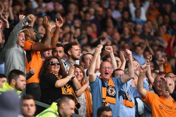 Some Wolves fans react after Willy Boly injury update
