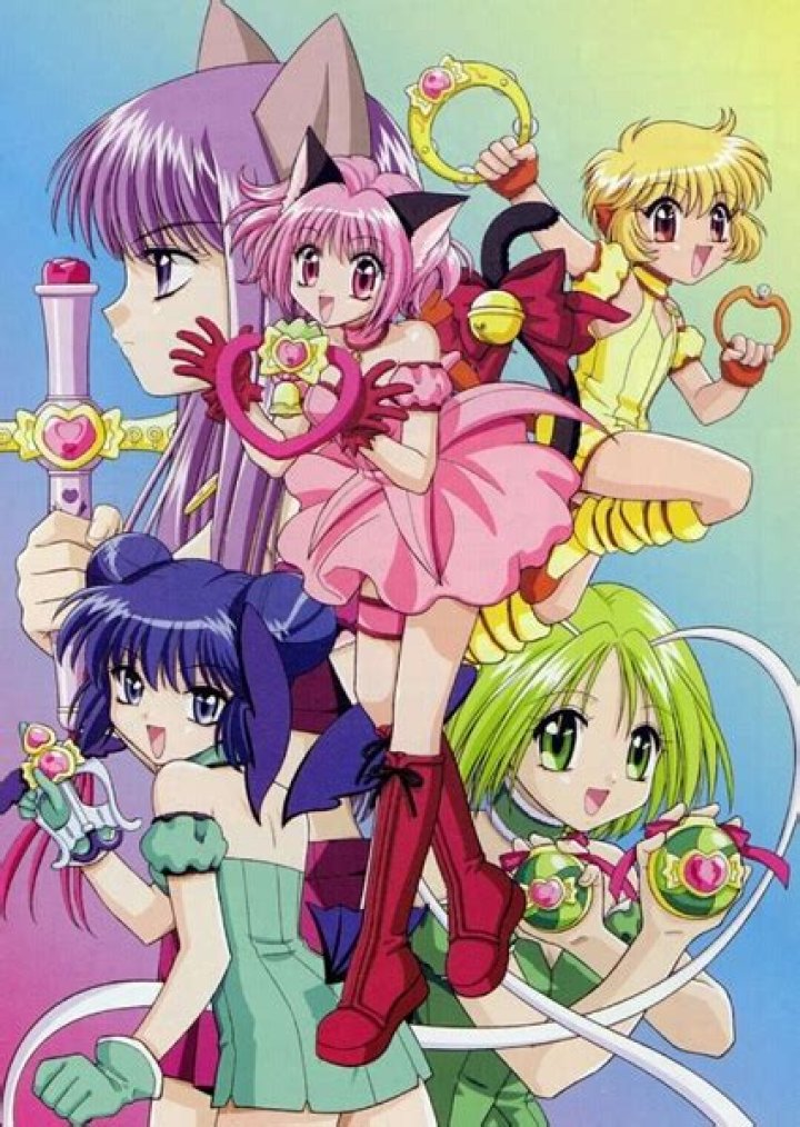 Sonic The Hedgehog Characters as Tokyo Mew Mew Characters Fan Casting on myCast