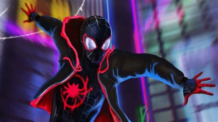 Spider-Man Into the Spider Verse Live Action