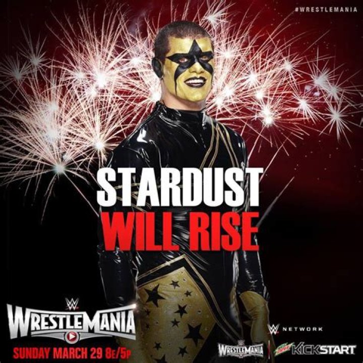 Stardust dives at WrestleMania 31 