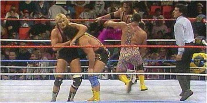 Steiners vs Harts WWE