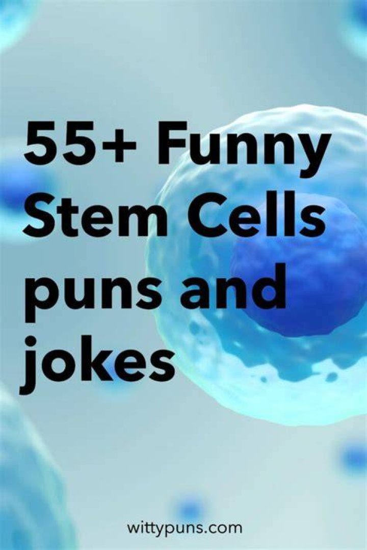 STEM Puns Puns stem from STEM Science, Technology, Engineering, and
