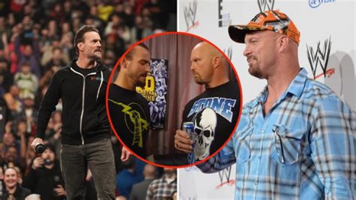 steve austin cm punk wwe raw