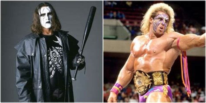 Sting and Ultimate Warrior