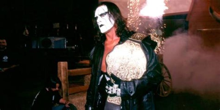 Sting as WCW Champion.