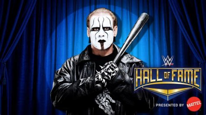Sting at WWE Hall of Fame.