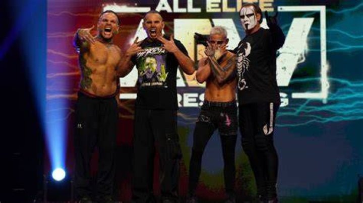 Sting, Darby Allin, and Hardy Boyz AEW
