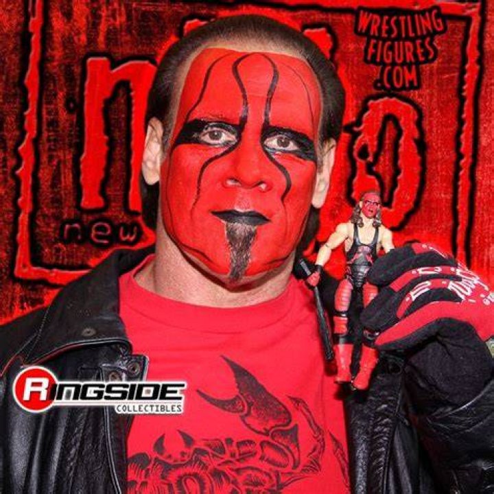 Sting in nWo Wolfpac paint.