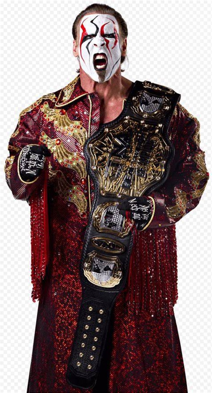 Sting TNA Champion