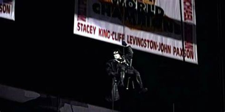 sting-rafters