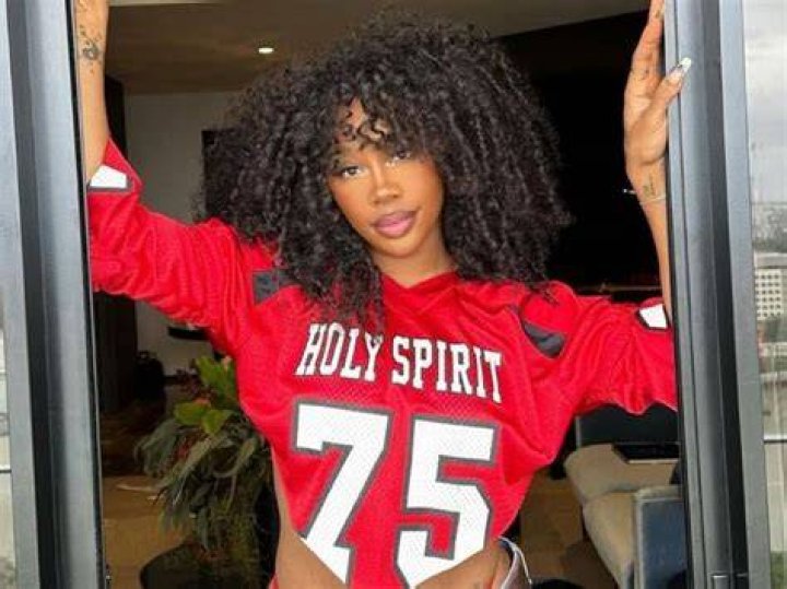 Stunning Afro Hairstyles by SZA