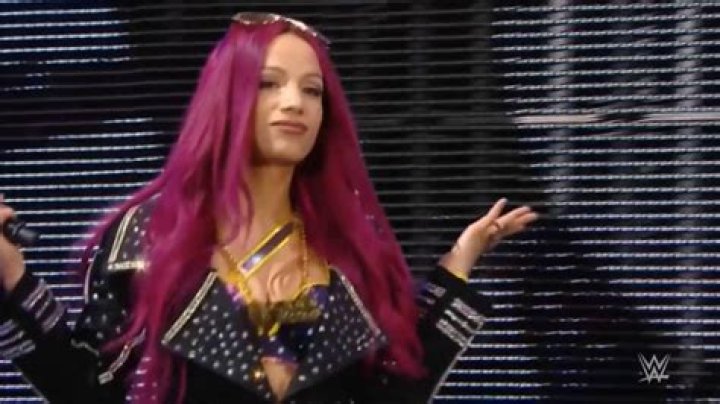 Summer Rae Sasha Banks WWE NXT