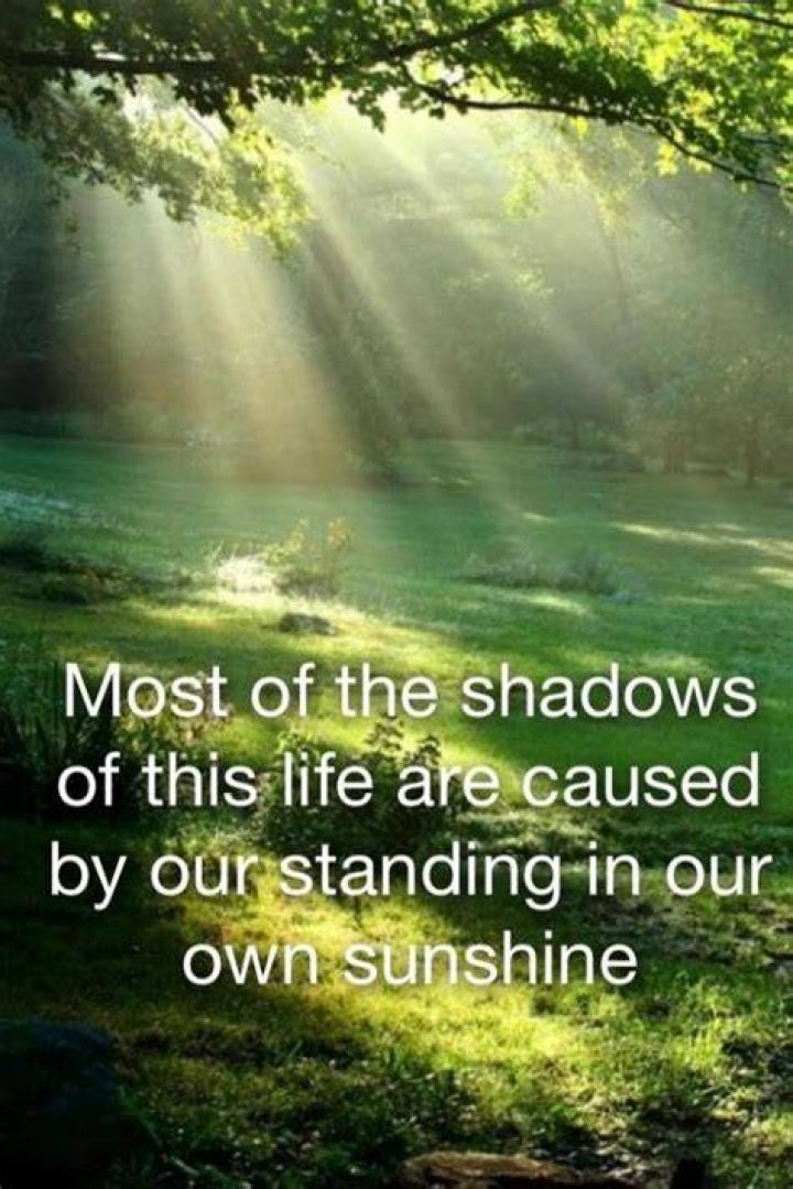 Sunshine Quotes And Sayings. QuotesGram