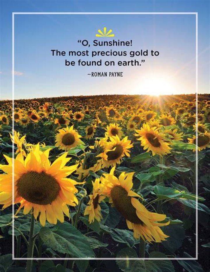 Sunshine Quotes Tumblr Sunshine Quotes Quotes Words / The sun is a