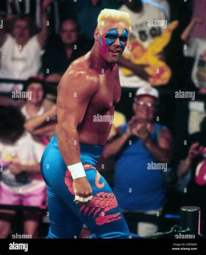 Surfer Sting in WCW