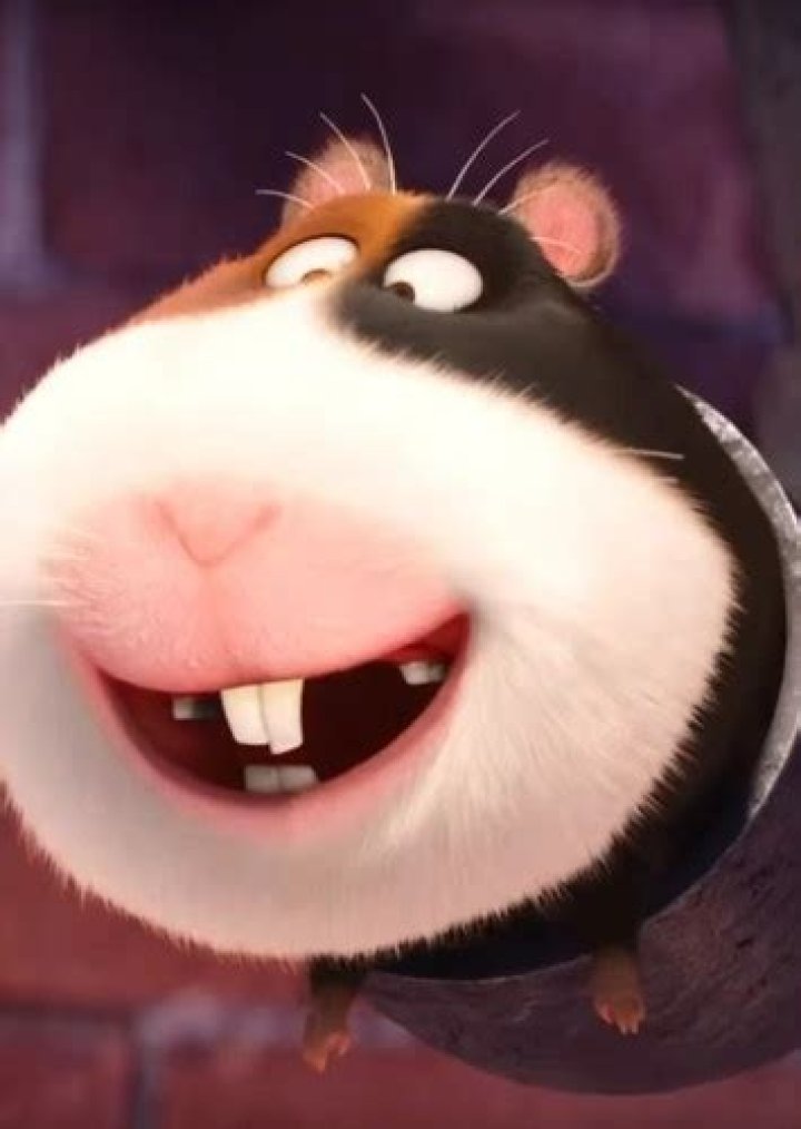 Tattoo the Pig Fan Casting for The Secret Life of Pets | myCast