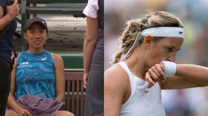 Tennis Controversy Refuses to Die Down as WTA Legend Joins Massive Outrage in
Condemning Hungarian Tennis Player for Her Rude Act