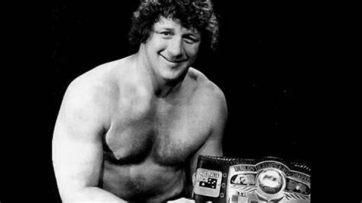 Terry Funk as the NWA World Champion