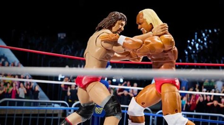Terry Funk vs. Hulk Hogan