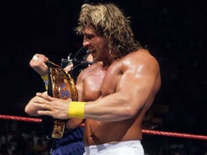 Texas Tornado SummerSlam 1990 Cropped