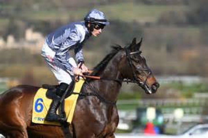 “That Was Sensational”: King George VI Applauds As Racing Icon Il Est Francais
Dominates Competitors With a ‘Breathtaking Display’