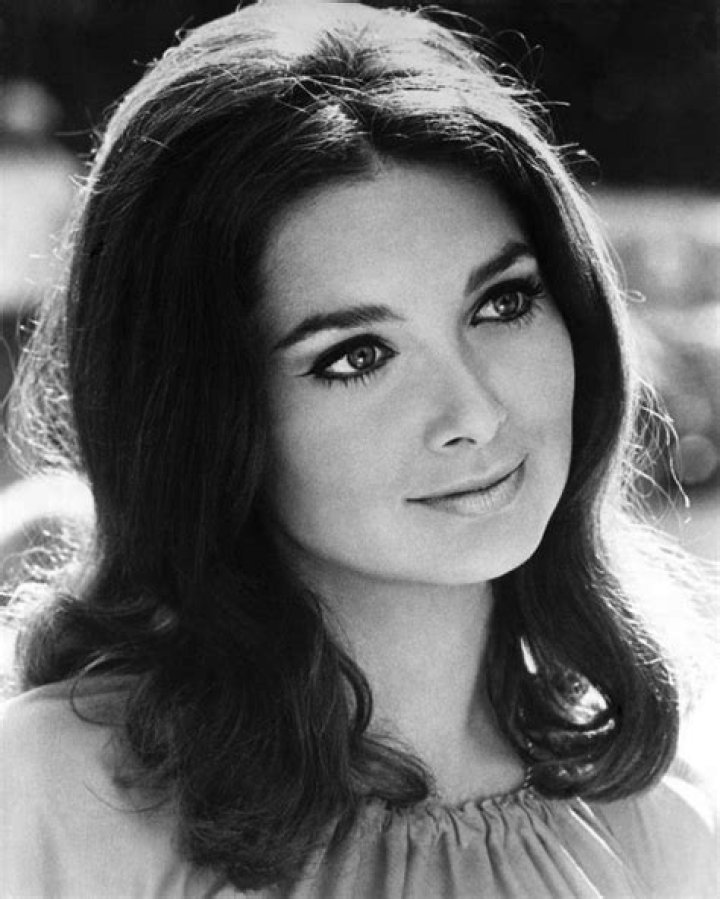 The 40 Loveliest TV Actresses of the 1970s Vintage News Daily