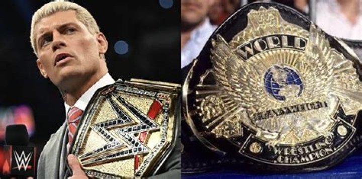 the back of cody rhodes during his entrance in wwe 2k24