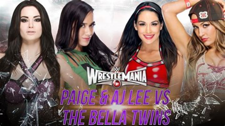 The Bella Twins vs. Paige &amp; Natalya 