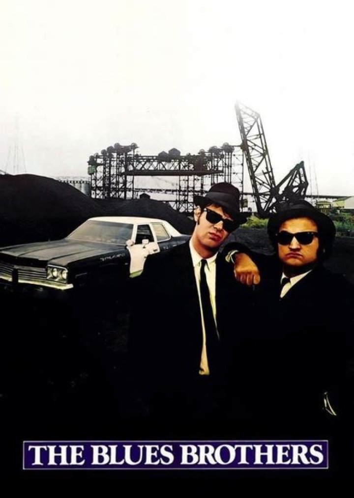 The Blues Brothers 1980 Remake Fan Casting on myCast