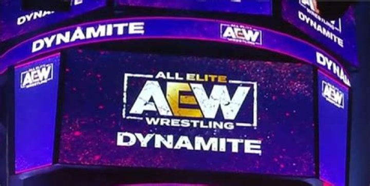 The Corporate Hierarchy Of AEW, Explained
