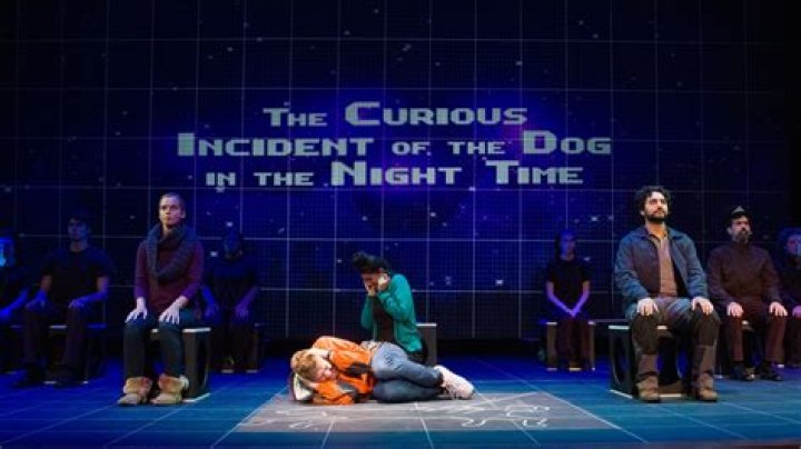 The Curious Incident of the Dog in the Night-Time