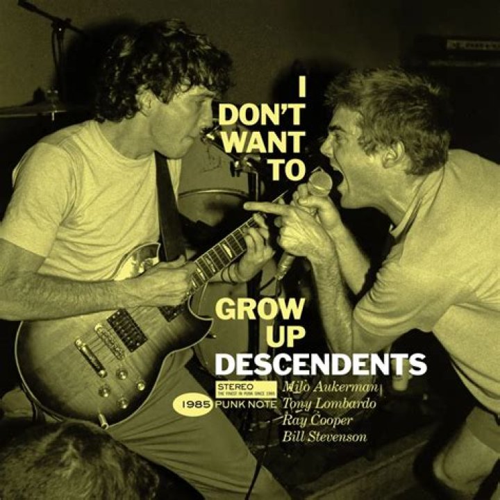 The Descendents 