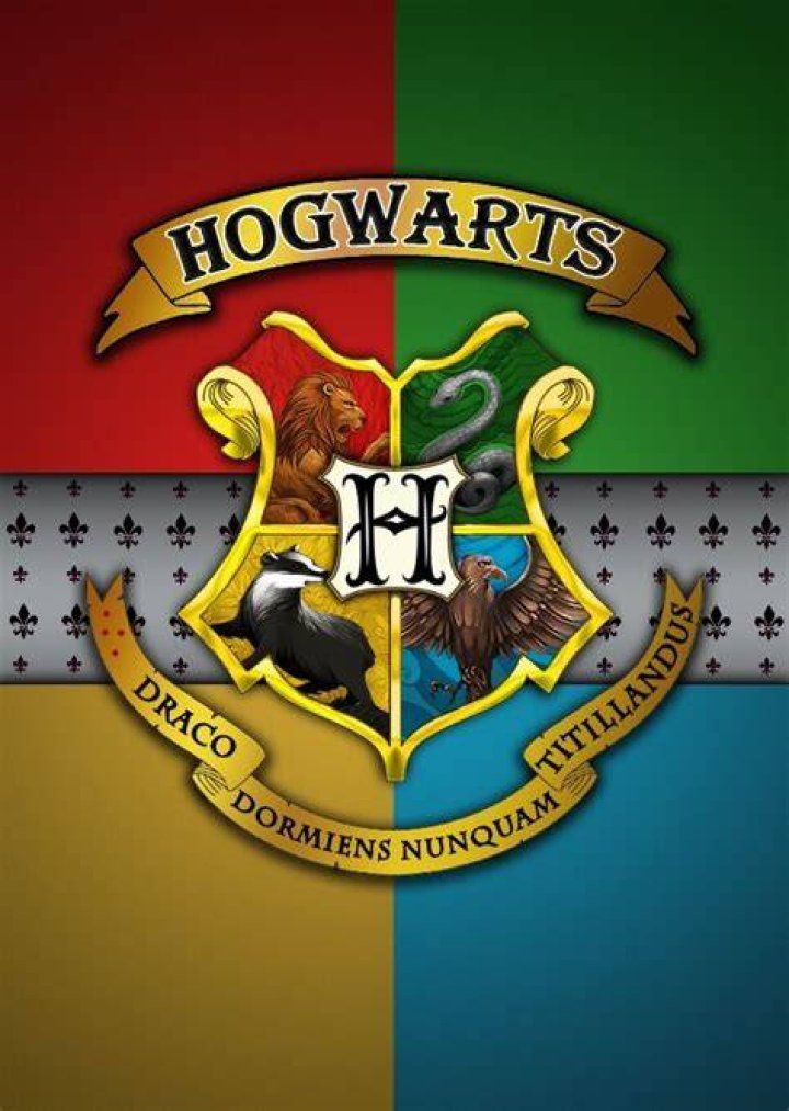 The Founders Of Hogwarts Fan Casting on myCast