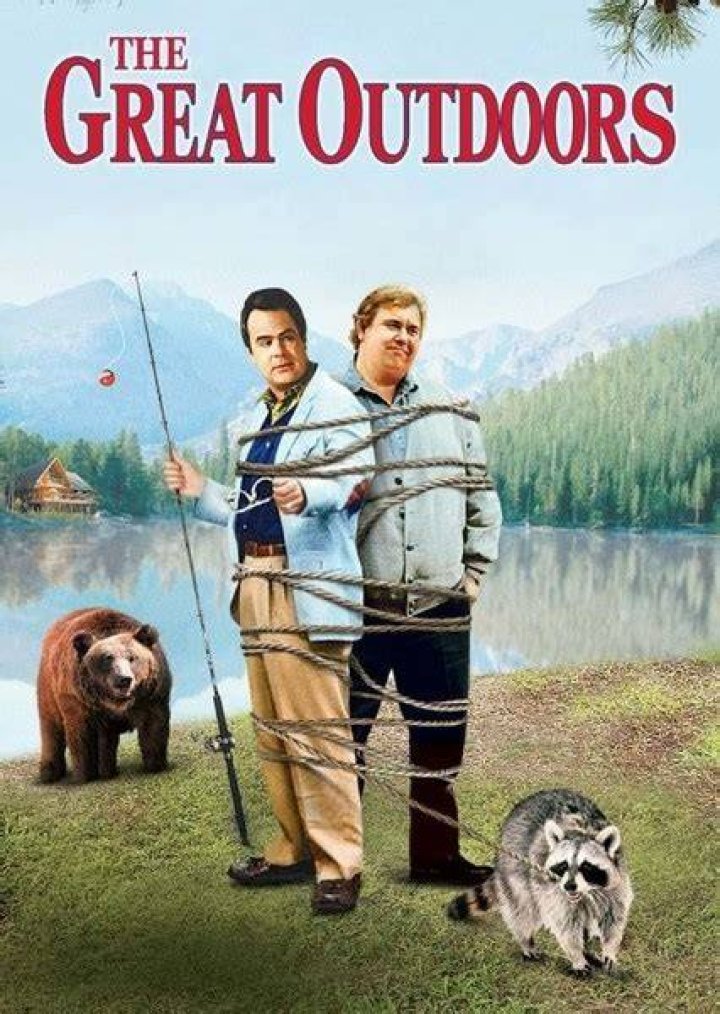 The Great Outdoors (1998) Fan Casting on myCast