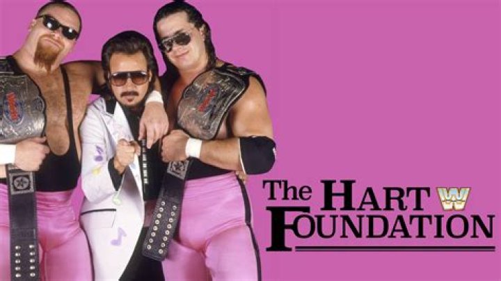 The Hart Foundation v The Rougeau Brothers Cropped