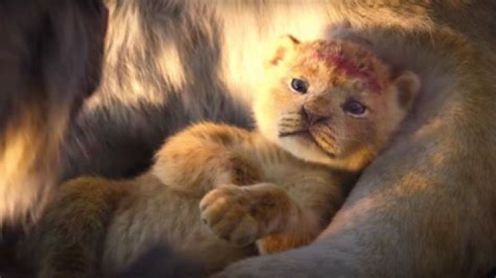 The lion king remake live action 