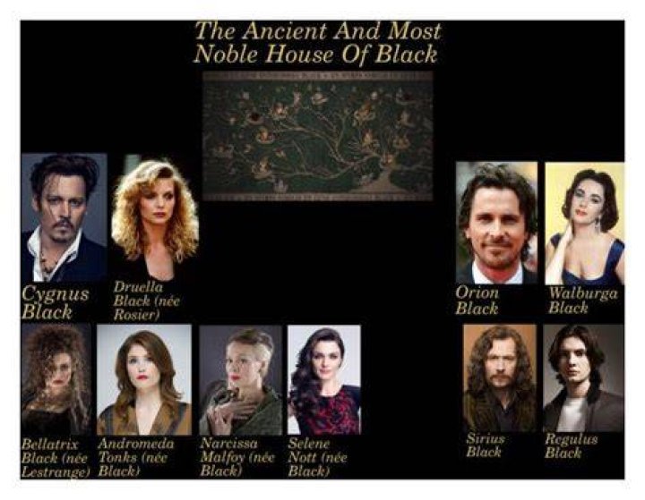 The Noble and Most Ancient House of Black