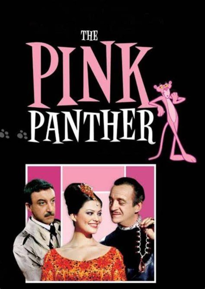 The Pink Panther Fan Casting
