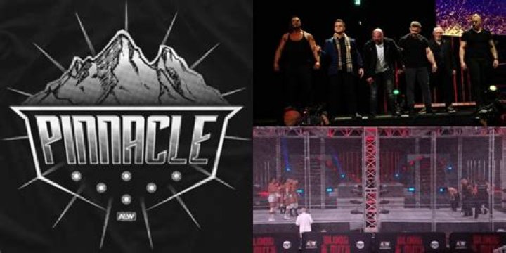 The Pinnacle AEW Debut