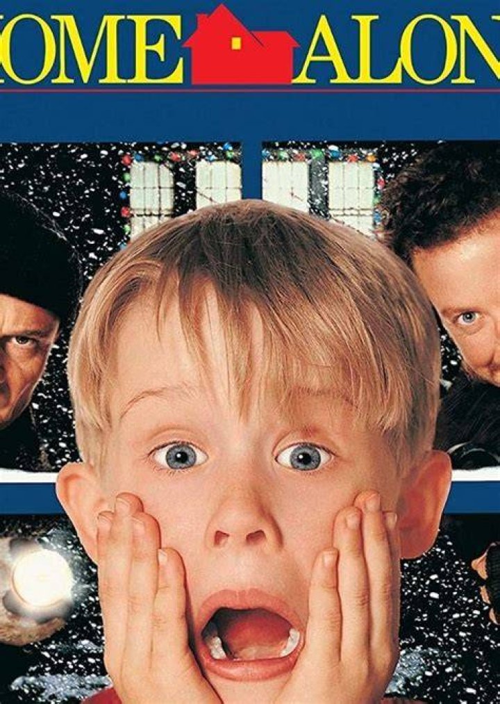 The REAL Home Alone 3 Fan Casting on myCast
