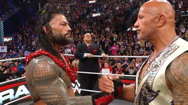 The Rock &amp; Roman Reigns Royal Rumble 2015