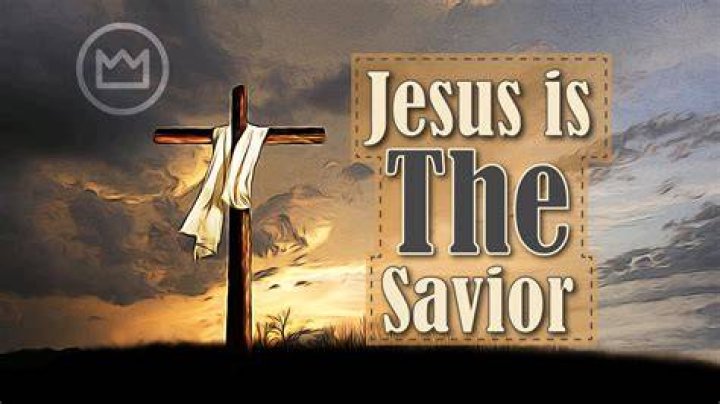 The Savior's Series