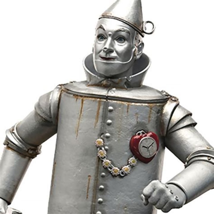 The Tin Man (The Wizard Of Oz) Photo on myCast