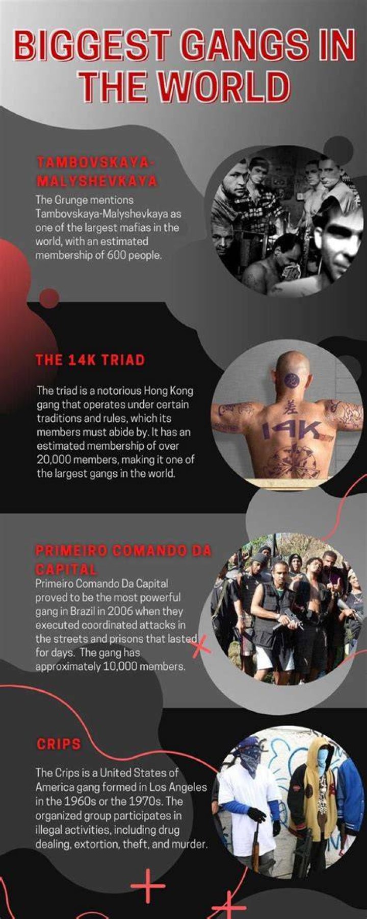The top 15 biggest gangs in the world by population Tuko.co.ke