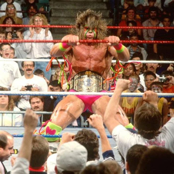 The Ultimate warrior Andre The Giant Survivor Series