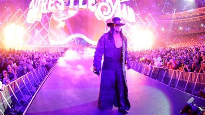 The Undertaker making his WrestleMania 20 entrance
