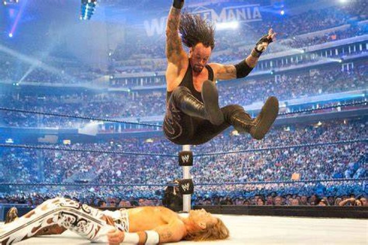 The Undertaker vs Shawn Michaels at Wrestlemania 25