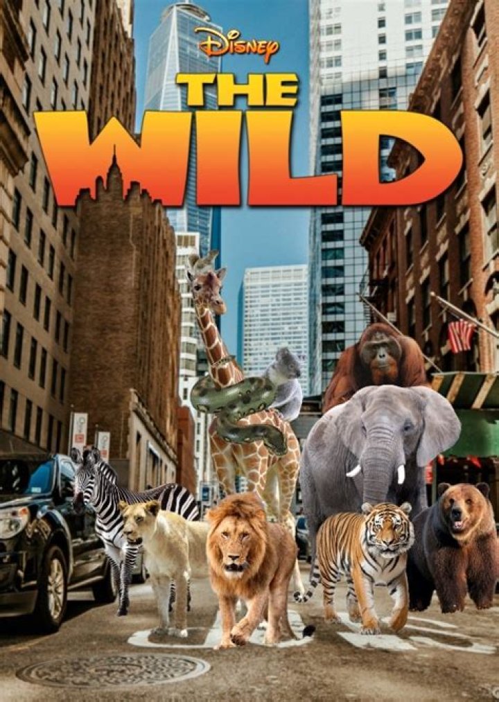 The Wild Fan Casting on myCast