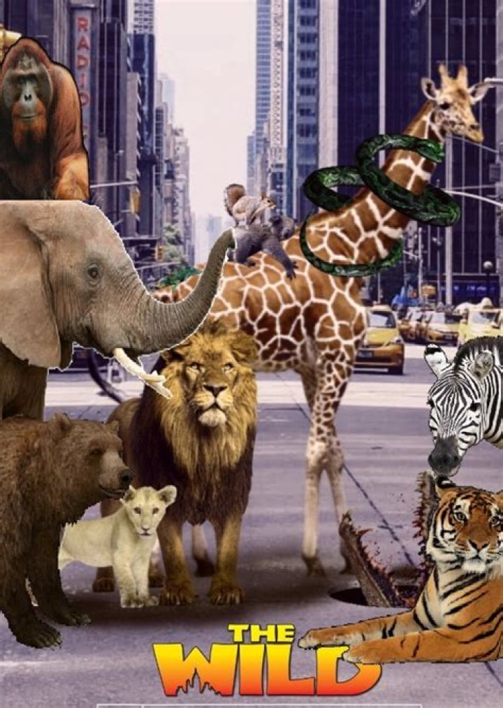 The Wild Live Action